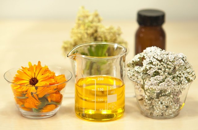 filipendula-ulmaria-meadowsweet-achillea-millefolium-yarrow-161503 Phytothérapie palmarosa