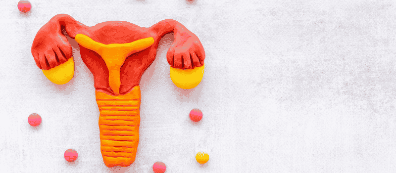 alimentation-ig-bas-SMOP-SOPKQue manger selon son cycle menstruel ? L’alimentation phase par phase - MoonFlow