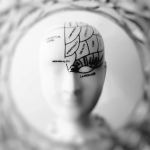 effet des hormones féminines sur le cerveau