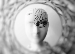 effet des hormones féminines sur le cerveau