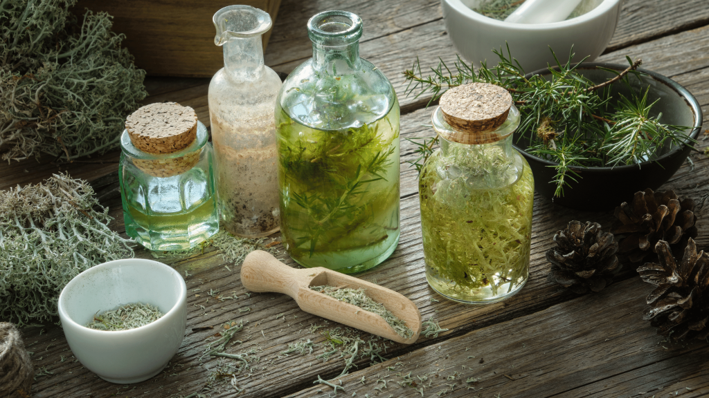 plantes détox hormonale