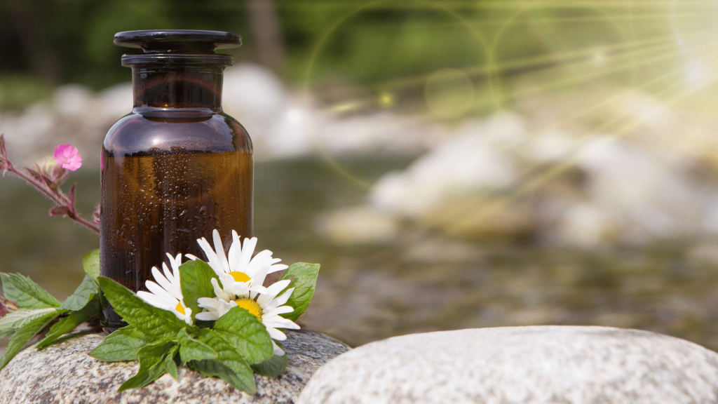 compléments alimentaires et naturopathie pour la glaire cervicale