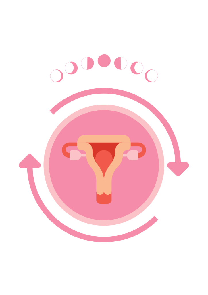 Sans-titre-610 mythes sur les règles (et autres bullshits concernant le cycle menstruel) - MoonFlow