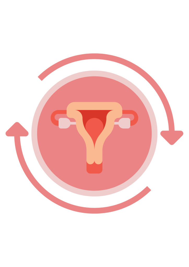 comment-fonctionne-le-cycle-menstruel - MoonFlow comment fonctionne le cycle menstruel ?