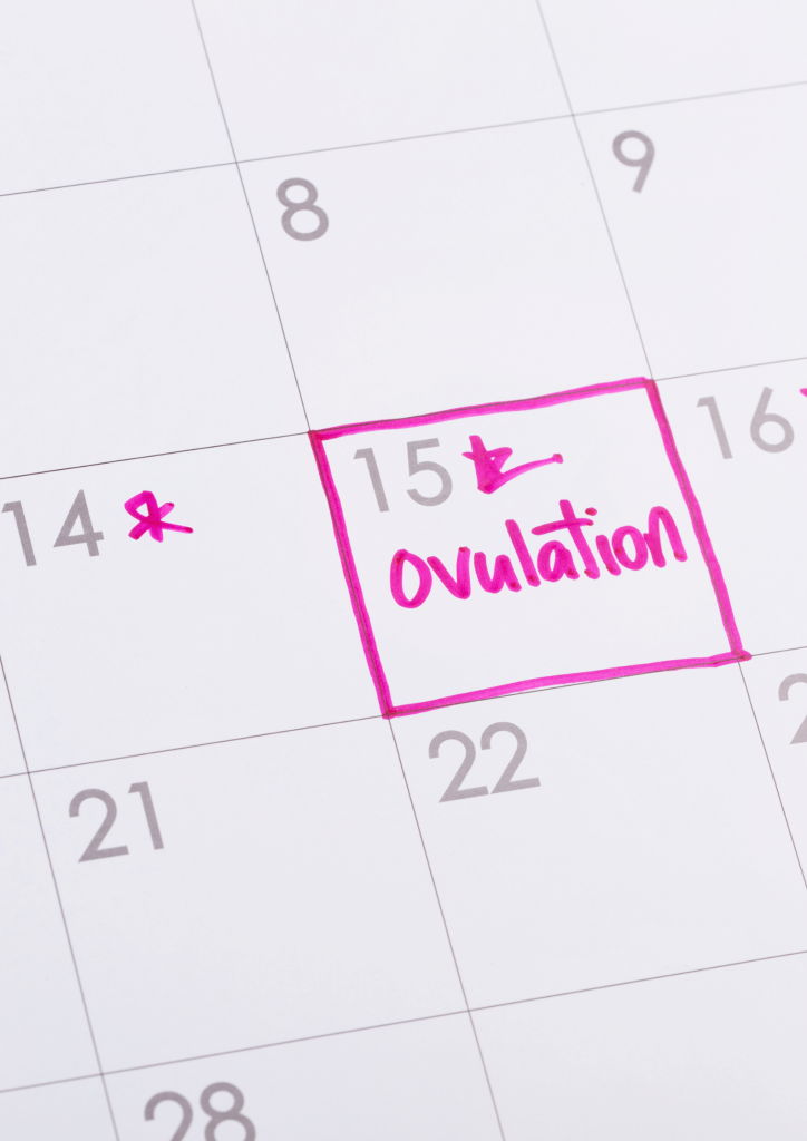 contraception-naturelle-methode-ogino - MoonFlow Methode Ogino