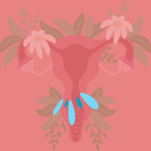 Quizz Glaire Cervicale