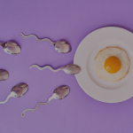 Booster sa fertilité naturellement
