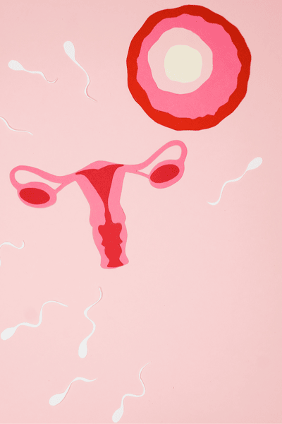 Témoignages de femmes enceintes avec insuffisance ovarienne précoce