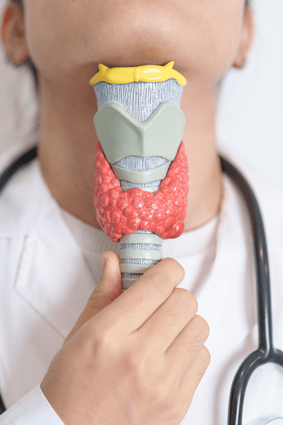 un début d'hypothyroïdie explique parfois la fatigue intense amplifiée avant les règles