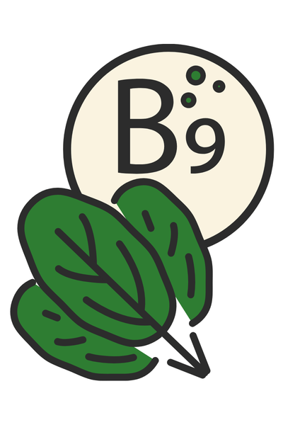 vitamine-B9 - MoonFlow vitamine-B9Grosse fatigue avant les règles : causes hormonales et solutions efficaces - MoonFlow